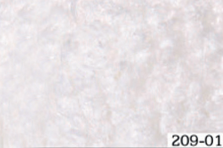 209-01